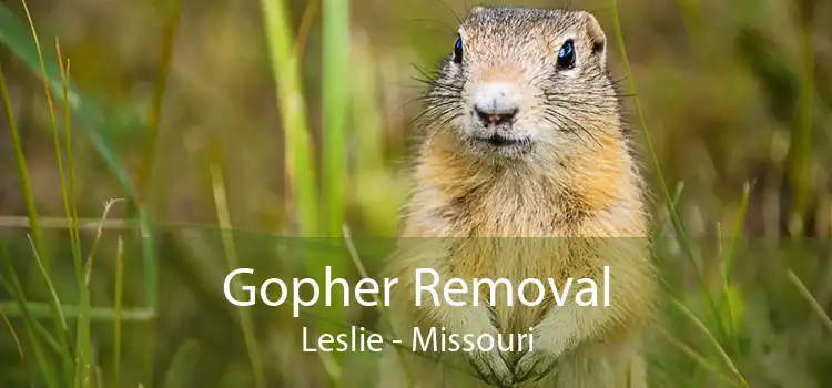 Gopher Removal Leslie - Missouri