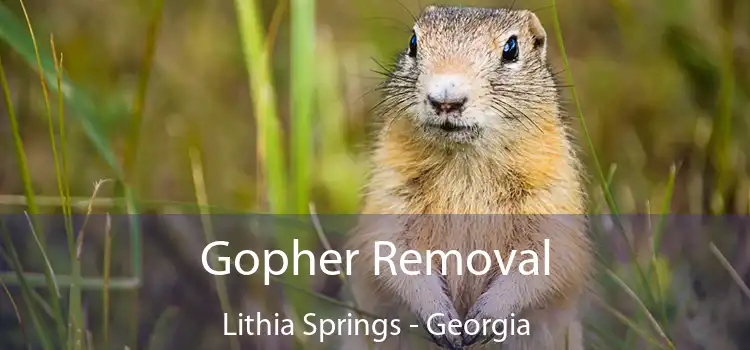 Gopher Removal Lithia Springs - Georgia