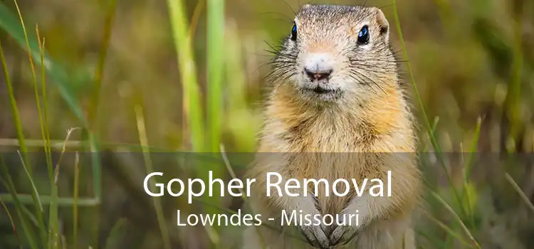 Gopher Removal Lowndes - Missouri