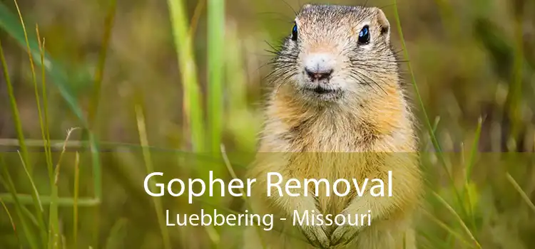 Gopher Removal Luebbering - Missouri