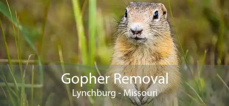 Gopher Removal Lynchburg - Missouri