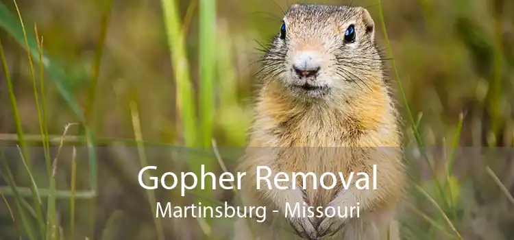 Gopher Removal Martinsburg - Missouri