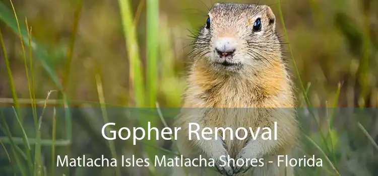 Gopher Removal Matlacha Isles Matlacha Shores - Florida