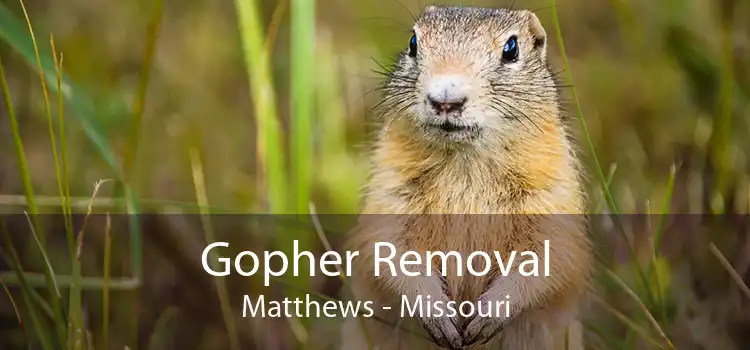 Gopher Removal Matthews - Missouri