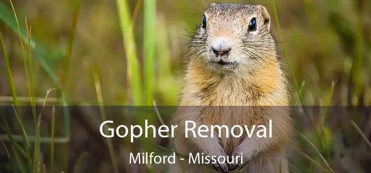 Gopher Removal Milford - Missouri