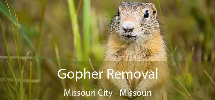 Gopher Removal Missouri City - Missouri