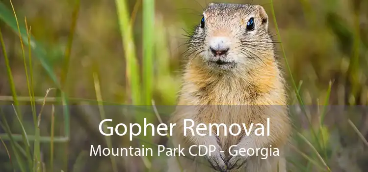Gopher Removal Mountain Park CDP - Georgia