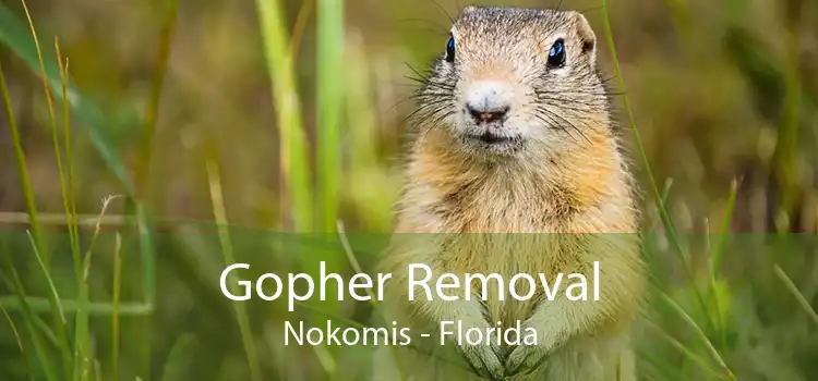Gopher Removal Nokomis - Florida