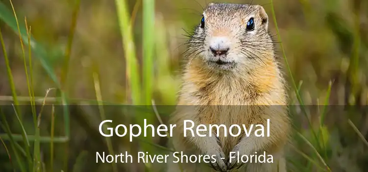 Gopher Removal North River Shores - Florida