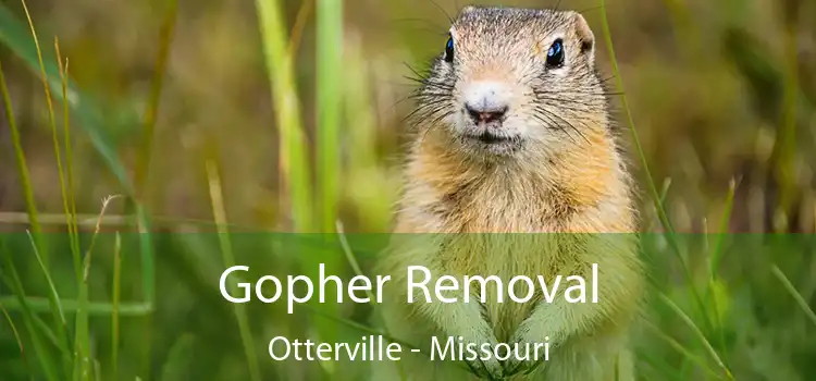 Gopher Removal Otterville - Missouri