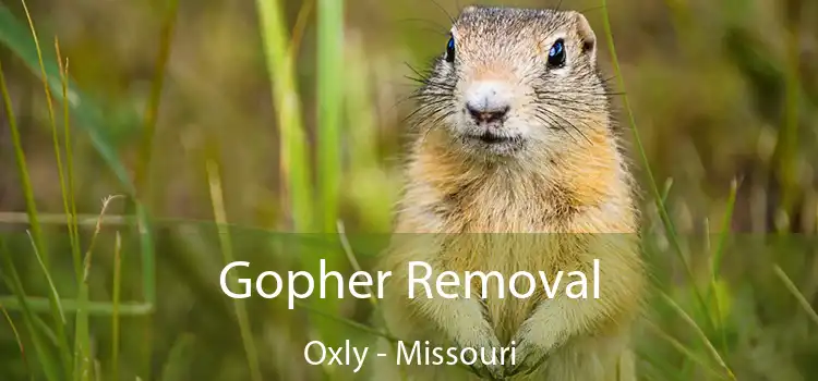 Gopher Removal Oxly - Missouri