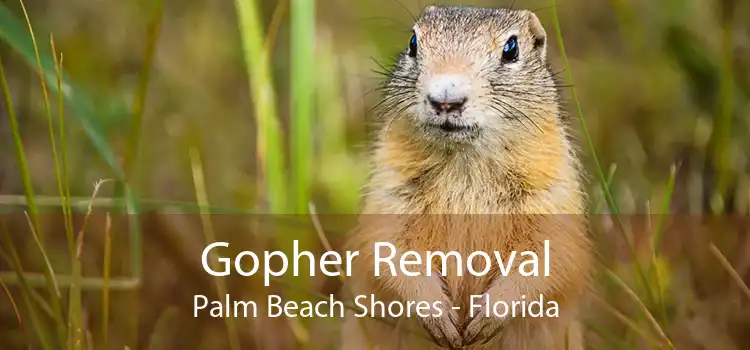 Gopher Removal Palm Beach Shores - Florida