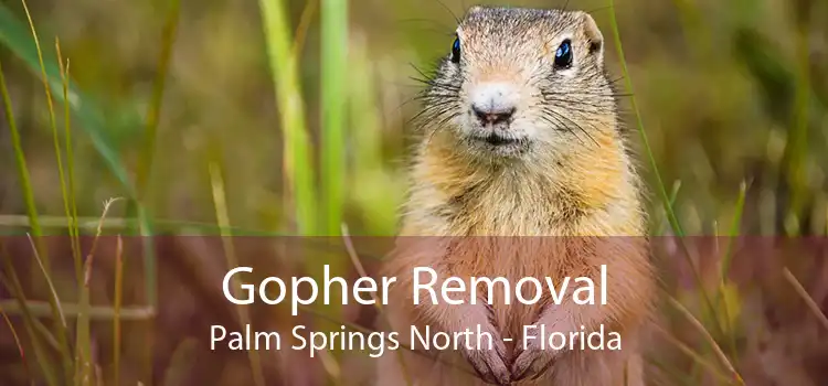 Gopher Removal Palm Springs North - Florida