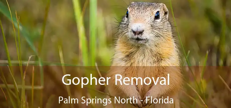 Gopher Removal Palm Springs North - Florida