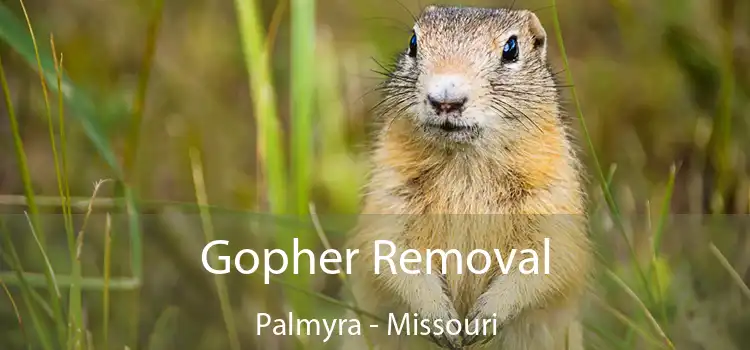 Gopher Removal Palmyra - Missouri