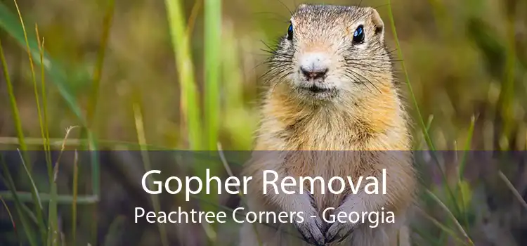 Gopher Removal Peachtree Corners - Georgia