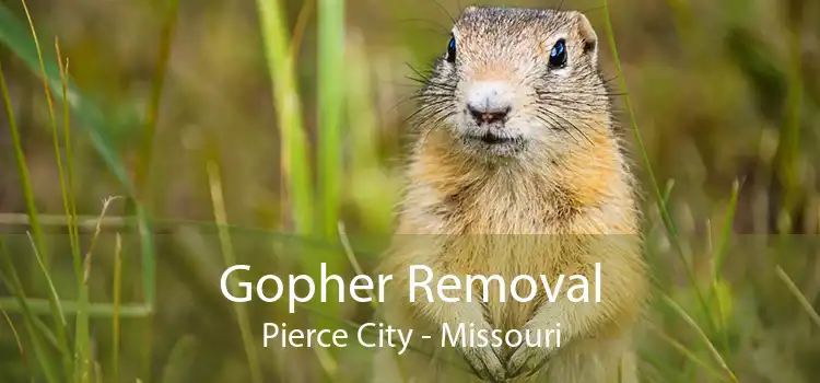 Gopher Removal Pierce City - Missouri