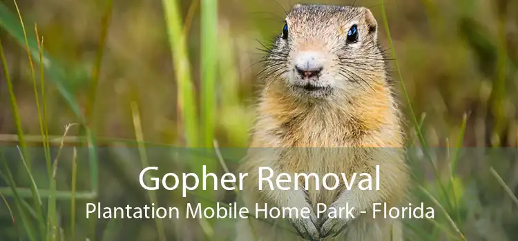 Gopher Removal Plantation Mobile Home Park - Florida