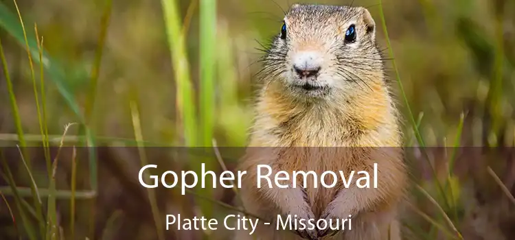 Gopher Removal Platte City - Missouri