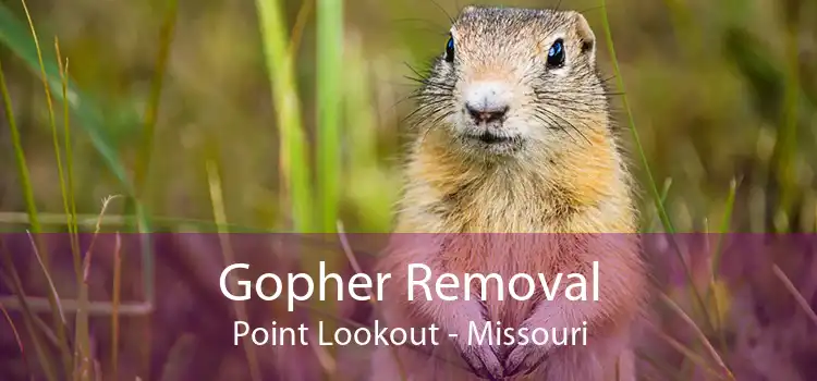 Gopher Removal Point Lookout - Missouri