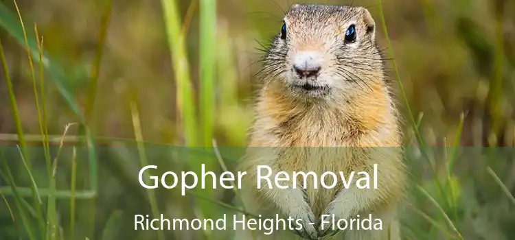 Gopher Removal Richmond Heights - Florida