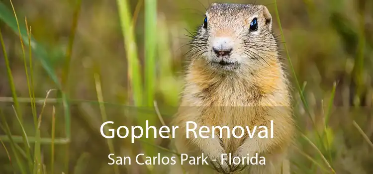 Gopher Removal San Carlos Park - Florida