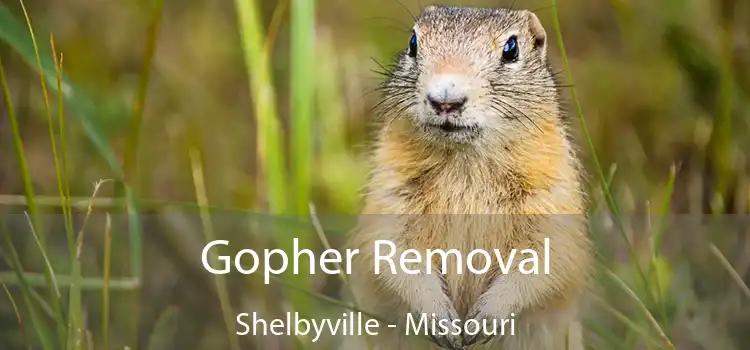 Gopher Removal Shelbyville - Missouri