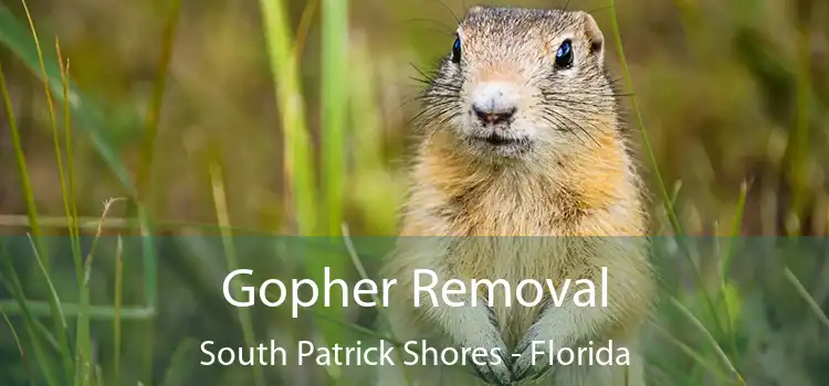 Gopher Removal South Patrick Shores - Florida