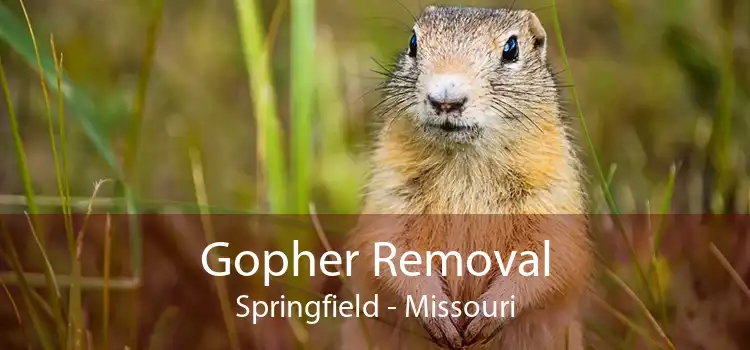 Gopher Removal Springfield - Missouri