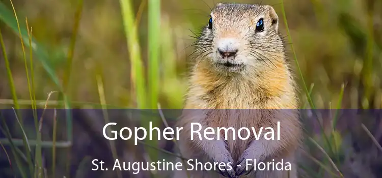 Gopher Removal St. Augustine Shores - Florida