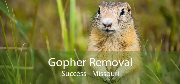 Gopher Removal Success - Missouri