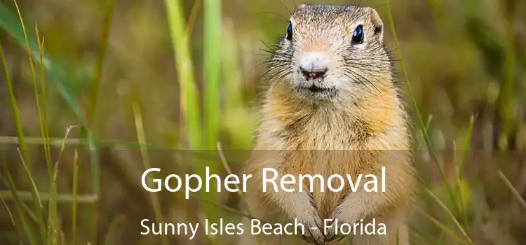Gopher Removal Sunny Isles Beach - Florida