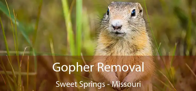 Gopher Removal Sweet Springs - Missouri