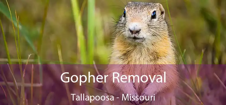 Gopher Removal Tallapoosa - Missouri