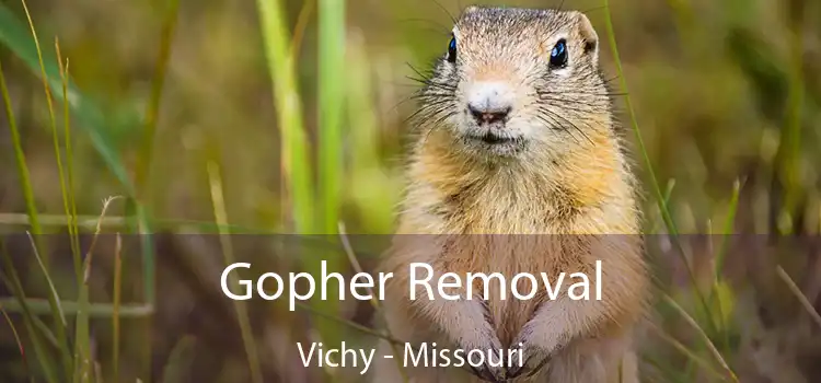 Gopher Removal Vichy - Missouri