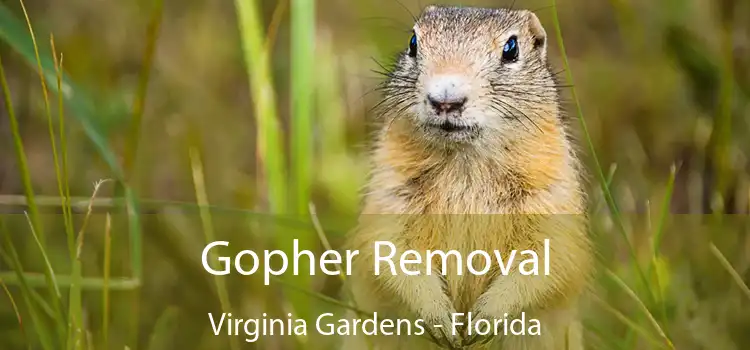 Gopher Removal Virginia Gardens - Florida