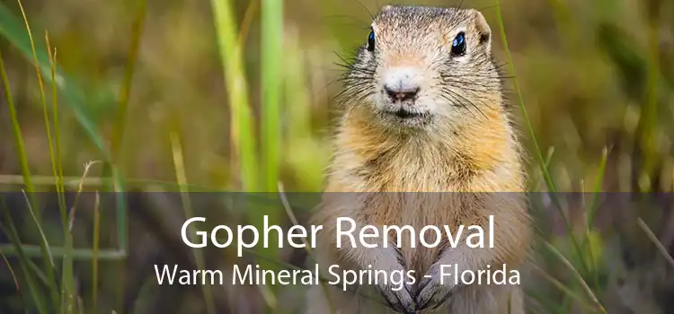Gopher Removal Warm Mineral Springs - Florida