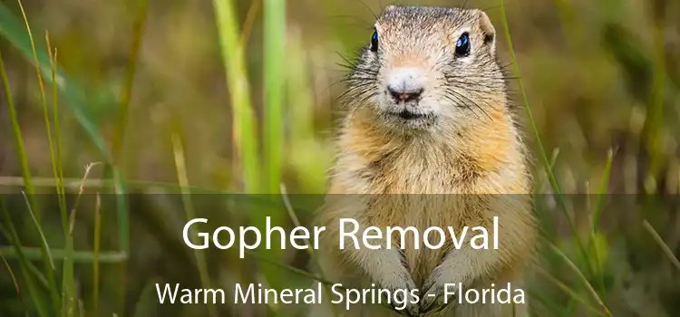 Gopher Removal Warm Mineral Springs - Florida