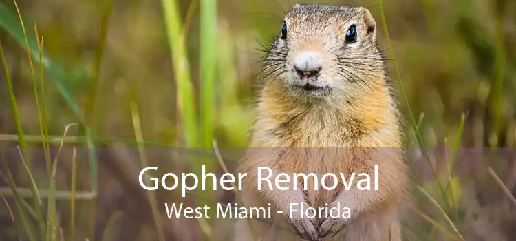 Gopher Removal West Miami - Florida