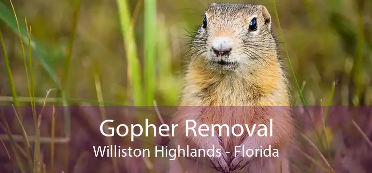 Gopher Removal Williston Highlands - Florida