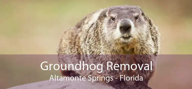 Groundhog Removal Altamonte Springs - Florida
