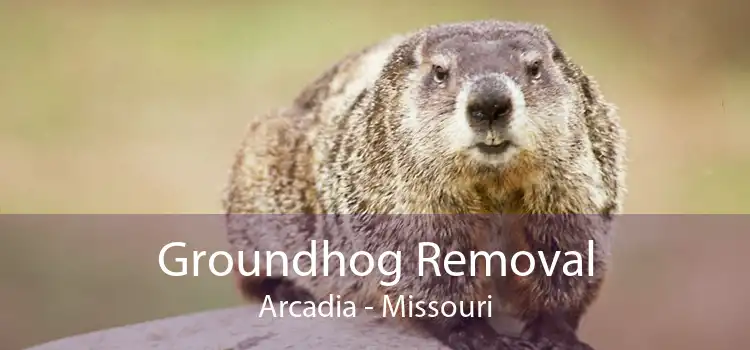 Groundhog Removal Arcadia - Missouri