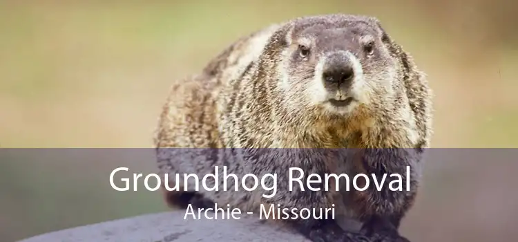 Groundhog Removal Archie - Missouri