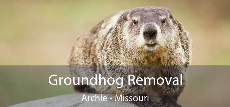 Groundhog Removal Archie - Missouri