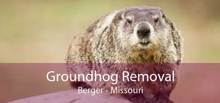 Groundhog Removal Berger - Missouri