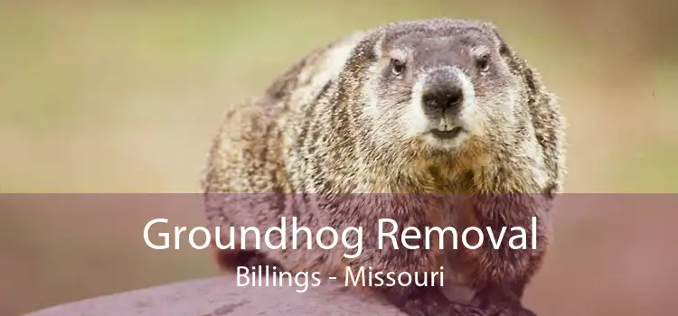 Groundhog Removal Billings - Missouri