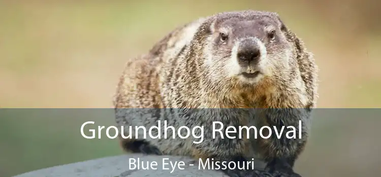 Groundhog Removal Blue Eye - Missouri