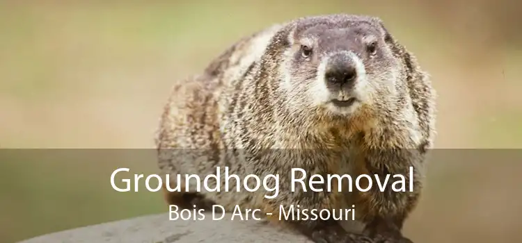 Groundhog Removal Bois D Arc - Missouri