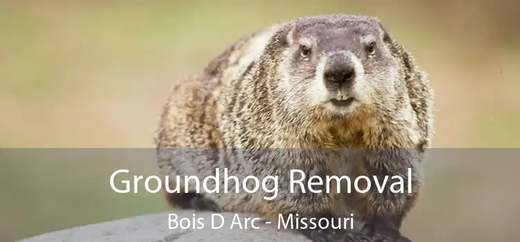 Groundhog Removal Bois D Arc - Missouri