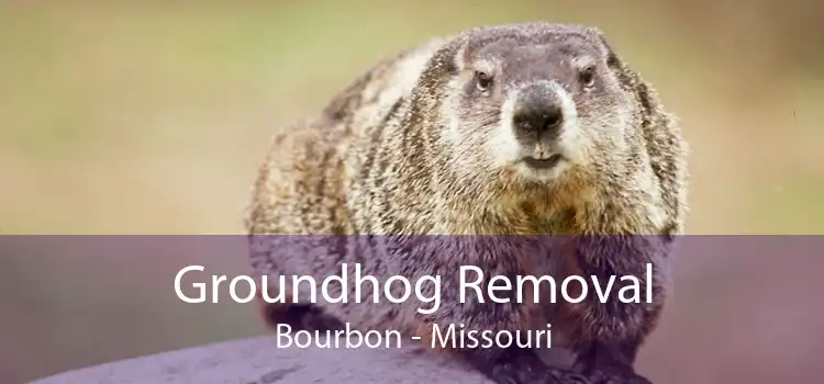 Groundhog Removal Bourbon - Missouri